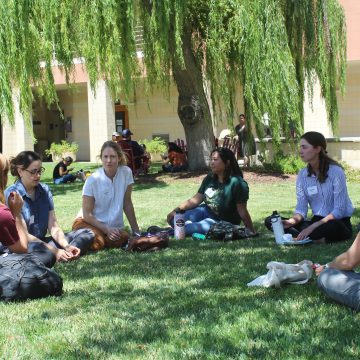 Several people sit in a circle in the grass under a green tree